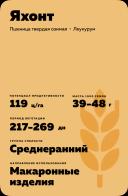 Яхонт сорт твердой озимой пшеницы
