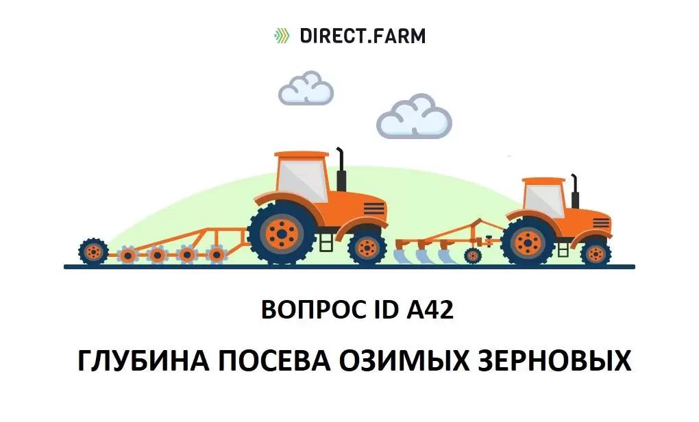 Как правильно подобрать глубину посева озимых зерновых культур?