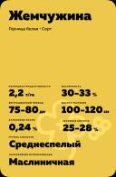 Жемчужина ® - сорт белой горчицы (Sinapis alba L.).