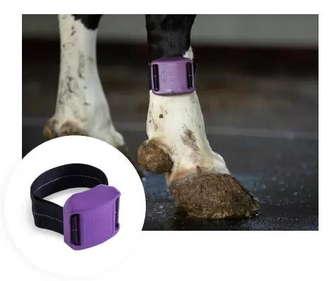 Поговорим?: "Датчики выявления охоты КРС/МРС"