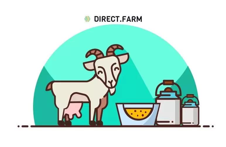 Кормление высокопродуктивных коз: зааненская и альпийская порода