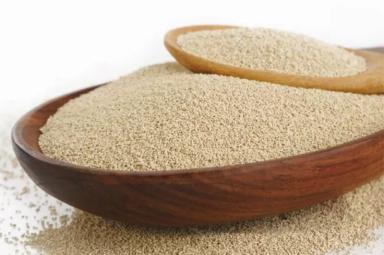 Пробиотик на основе живых дрожжей