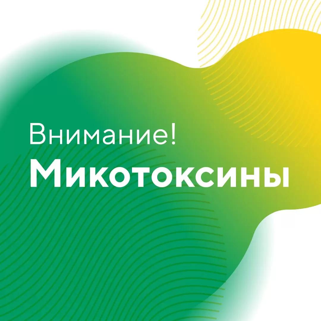 Внимание, микотоксины!