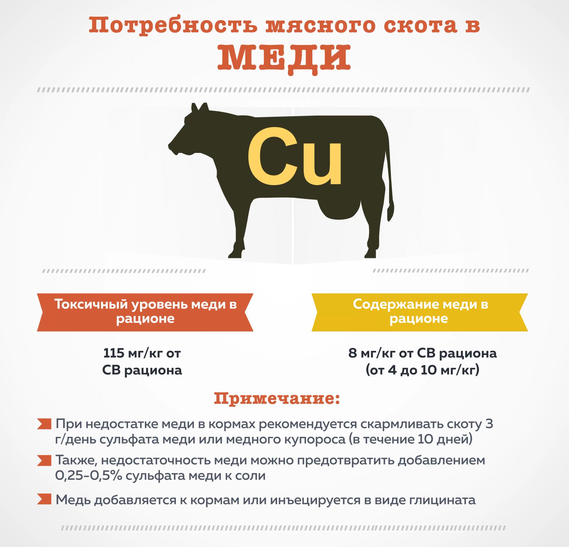 Потребность мясного скота в меди