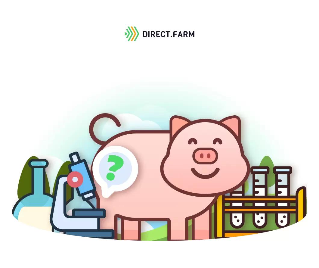 Работа с семенем хряков