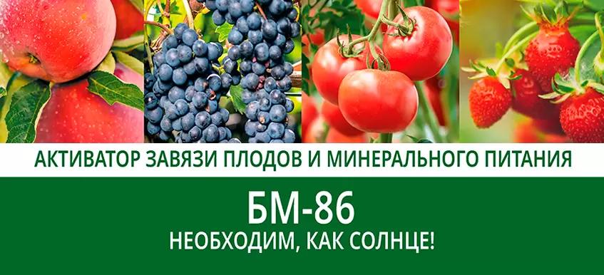 БМ-86 - Необходим, как солнце!