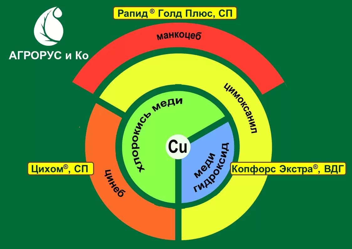 Медьсодержащие фунгициды от ООО «Агрорус и Ко»