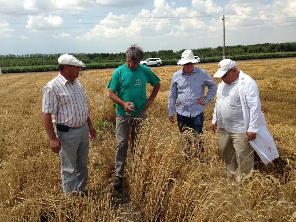 Селекция- состояние в отросли