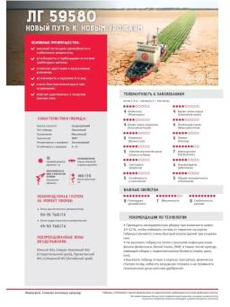 Гибриды Белфис, Ниагара, Террамис, Флоримис и ЛГ 50479 СХ, ЛГ 59580