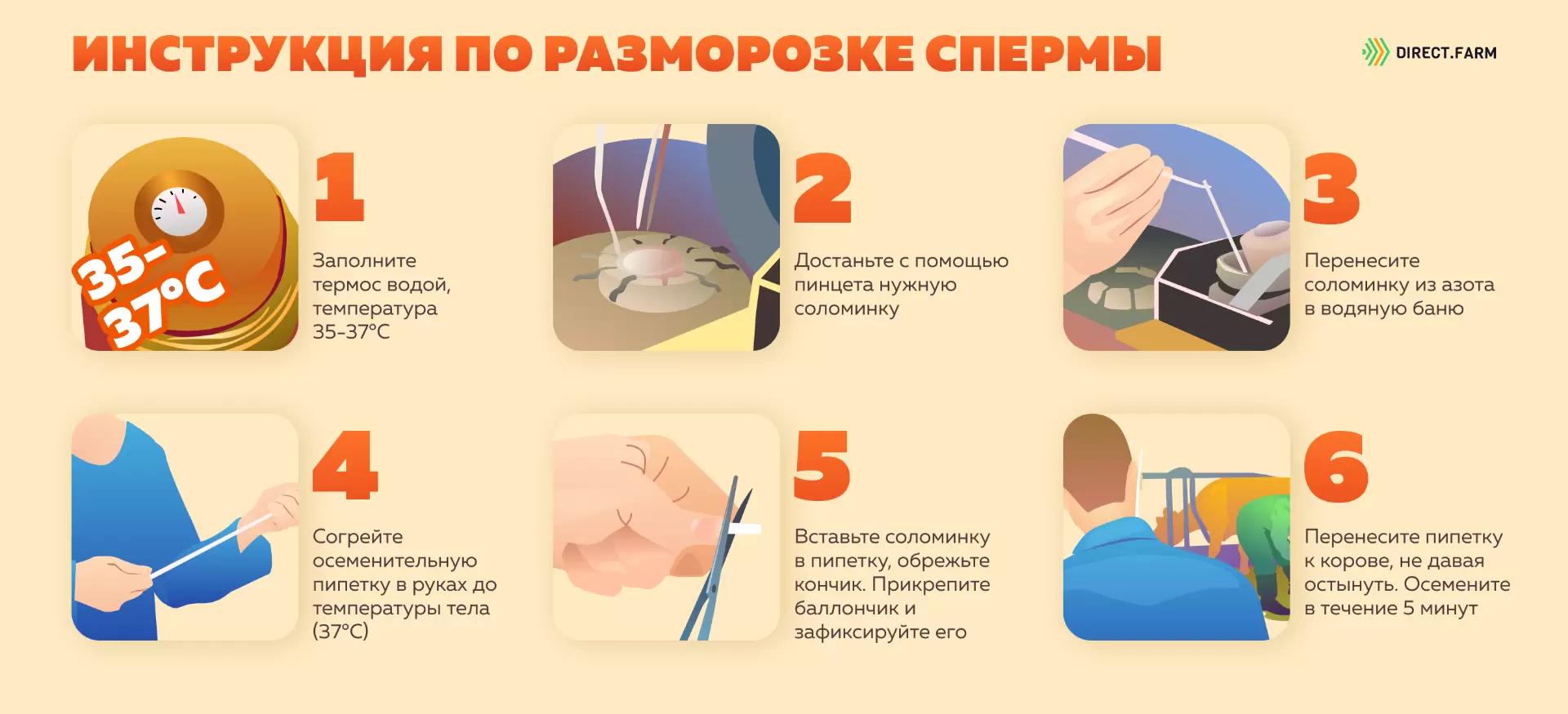 Инструкция по разморозке спермы