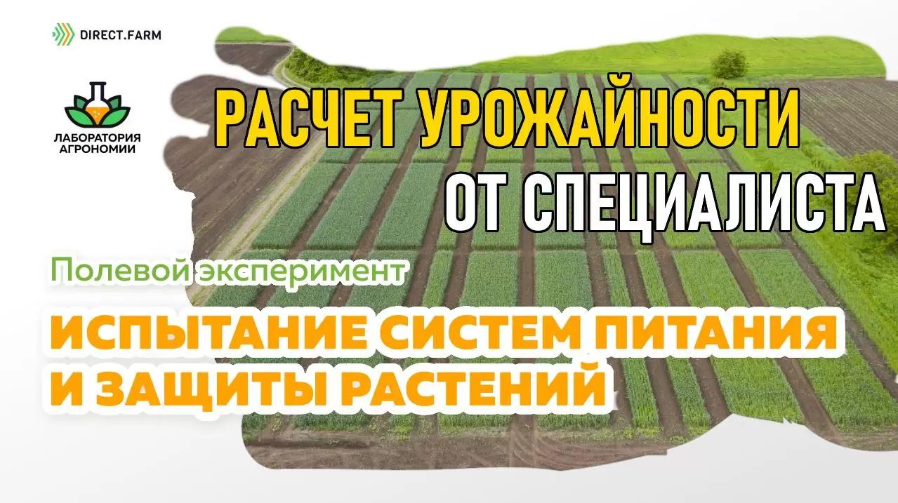 Расчёт урожайности от специалиста