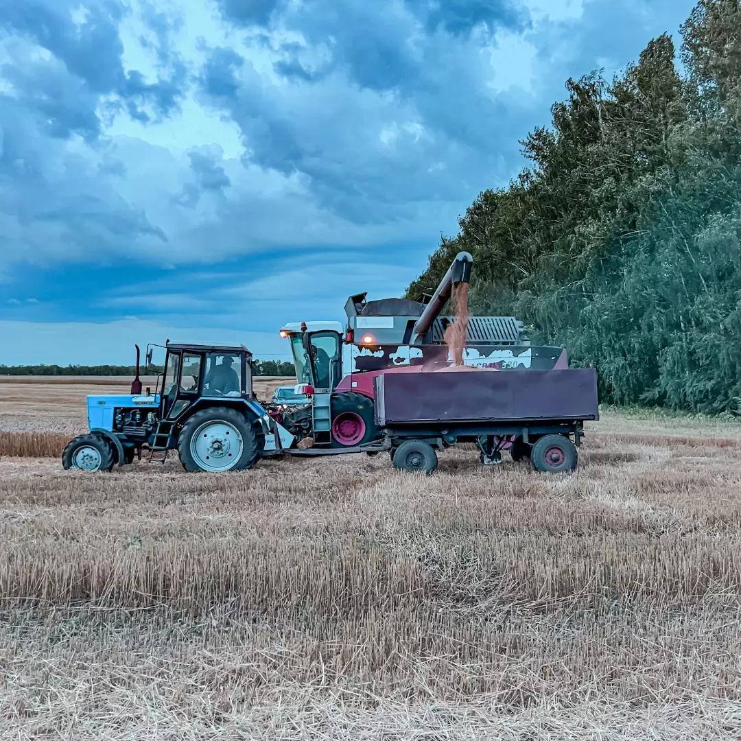 «ФЕРМЕРЫ НЕ ХОТЯТ РАЗБИРАТЬСЯ В СЛОЖНЫХ ПРОДУКТАХ…»