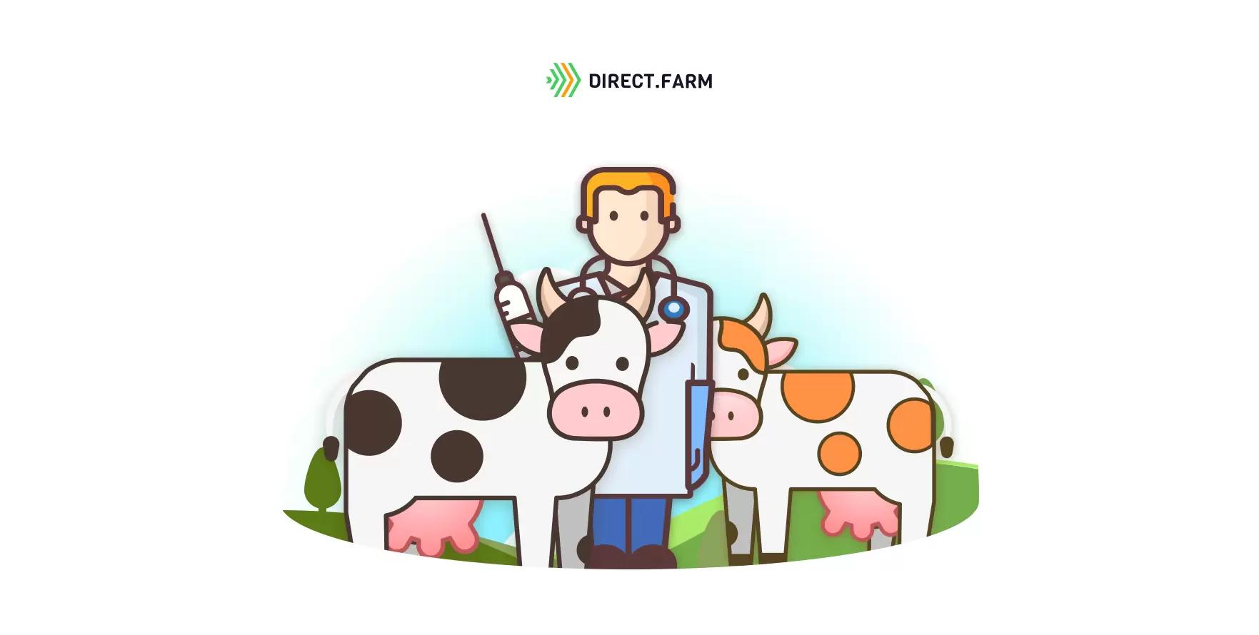 Инструкция по искусственному осеменению коров