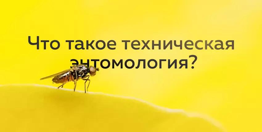 Перспективные отрасли сельского хозяйства. Техническая энтомология.