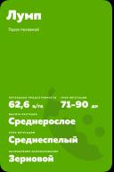 Лумп (LUMP) сорт гороха посевного