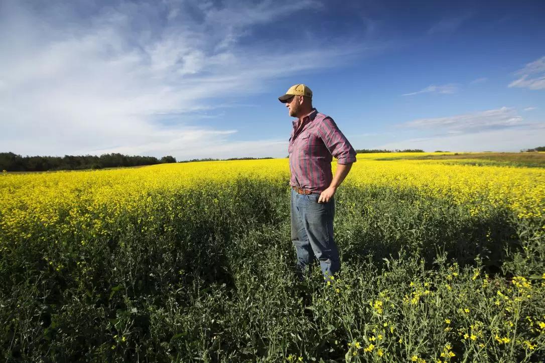 Фермеры подлежат мобилизации на общих основаниях - "Объясняем.рф"