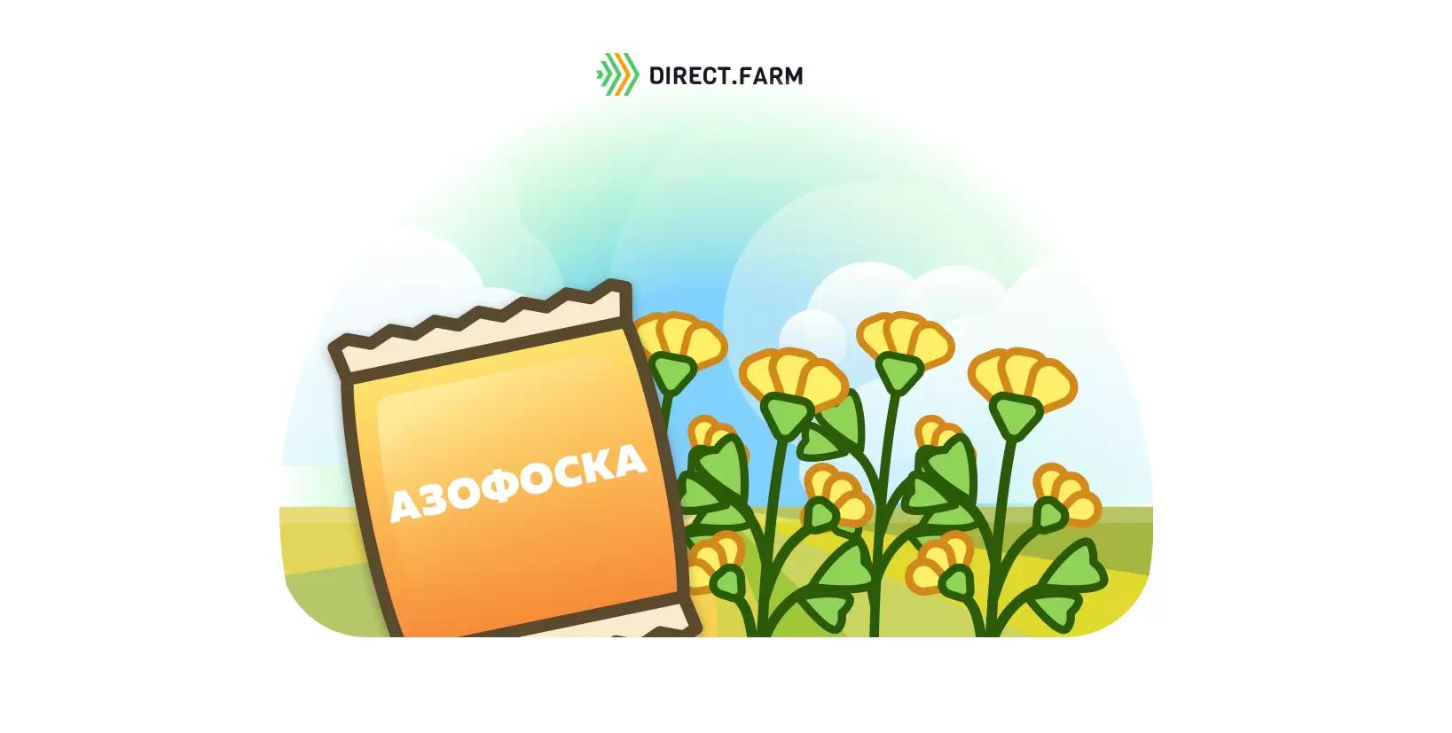 Весеннее внесение азофоски под люцерну