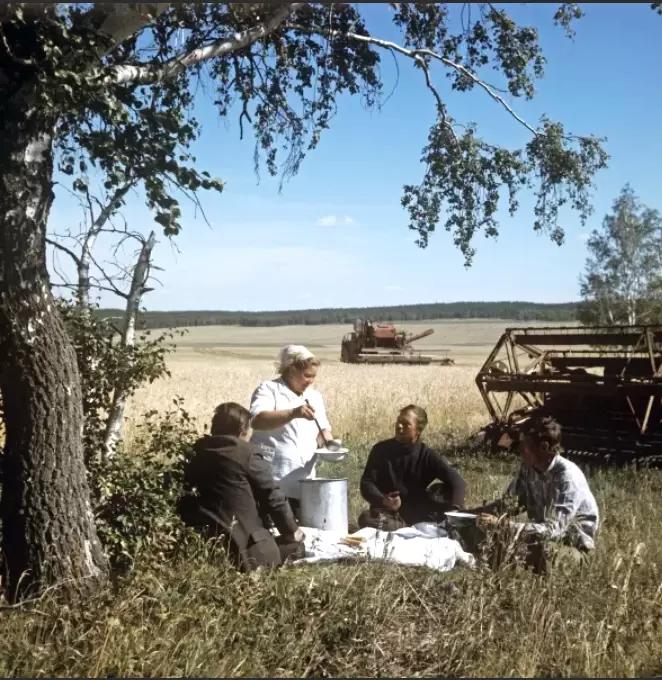 Полевые обеды. Вкусно и просто!