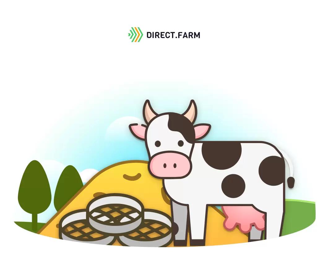 Как проверить помол зерна кукурузы в комбикорме в условиях фермы?