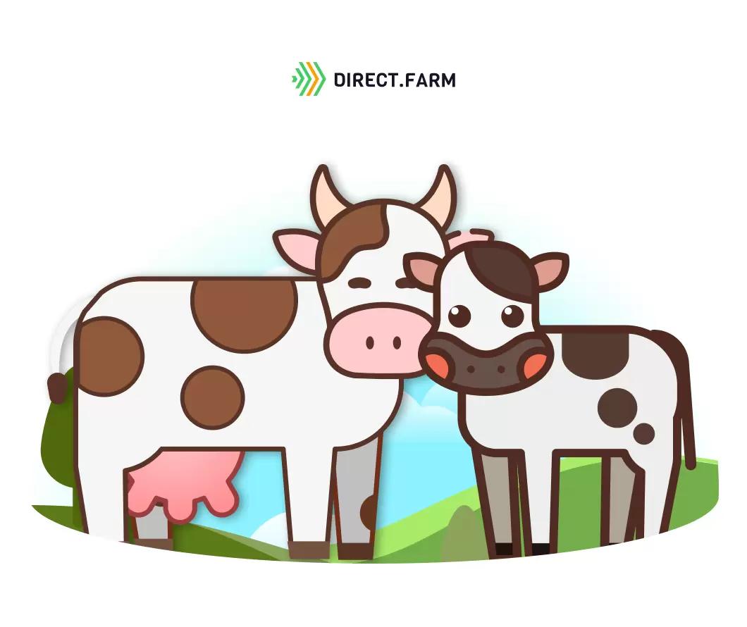 Протоколы профилактики коров в новотельный период