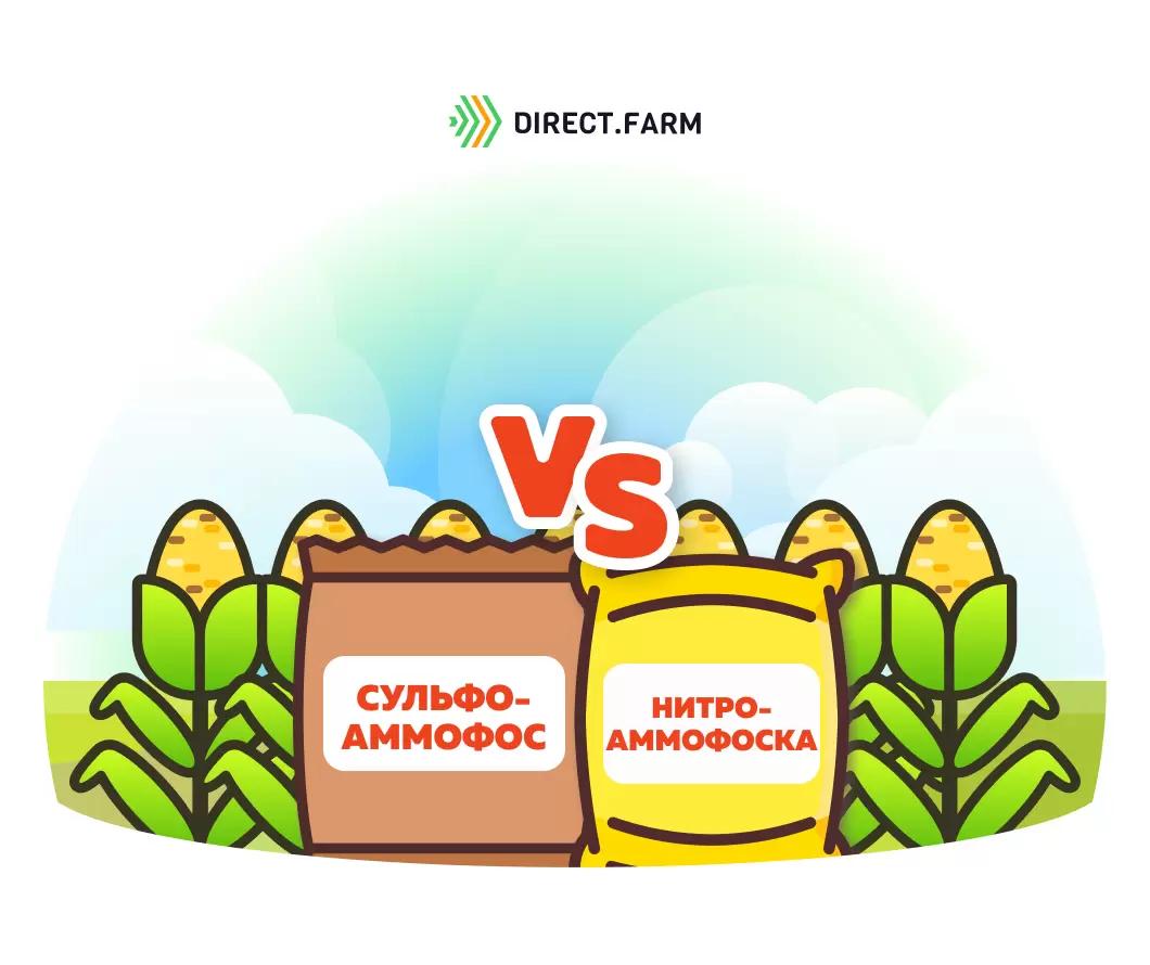 Сульфоаммофос или нитроаммофоска?