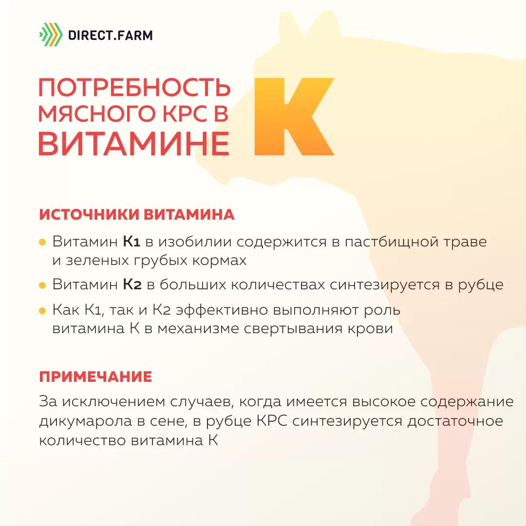 Потребность мясного скота в витамине К