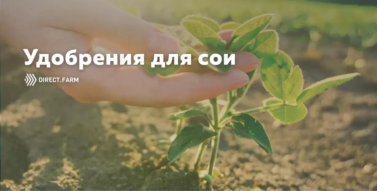 Система питания сои