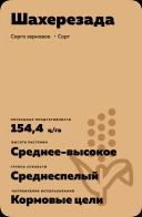 Шахерезада