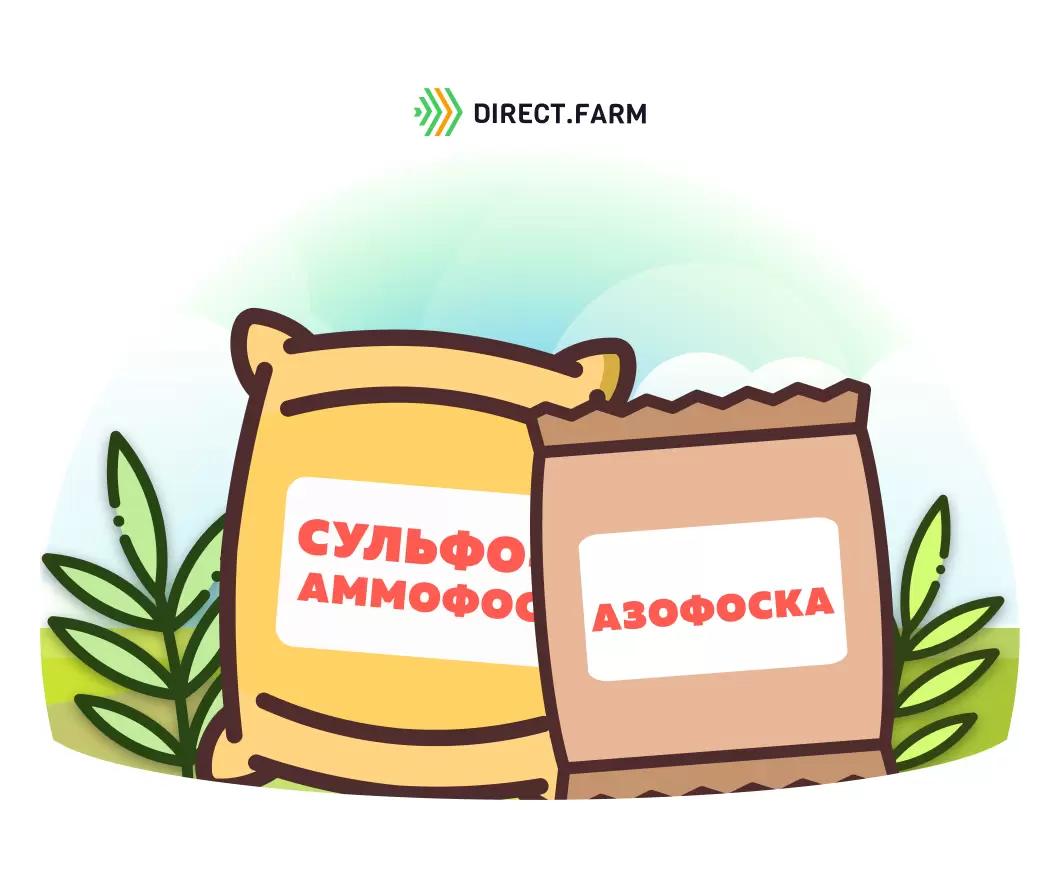 Применение сульфоаммофоса и азофоски