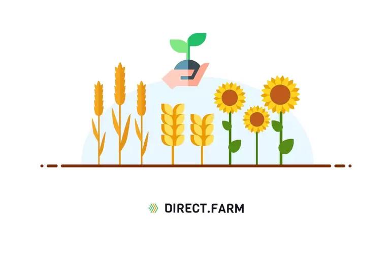 Норма высева семян