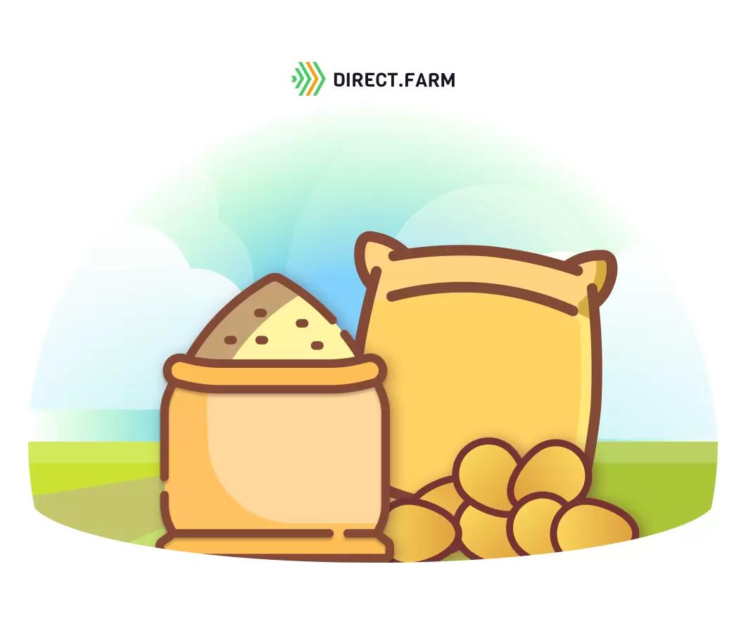 На что влияет масса 1000 семян?