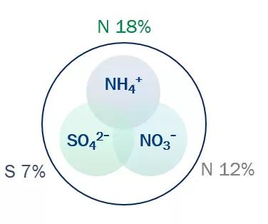 Сульфонитрат - сбалансированный тандем азота и серы