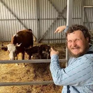 Рождение двойни у коров:радоваться или плакать?