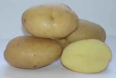 Вымпел ® - сорт картофеля (Solanum tuberosum L.).