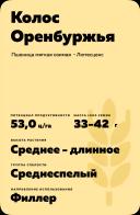 Колос Оренбуржья