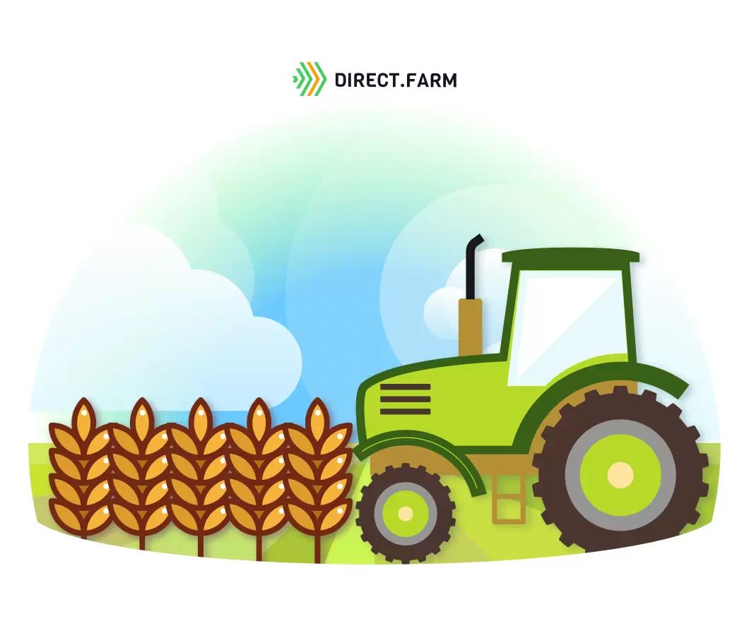 Технология возделывания твердой пшеницы