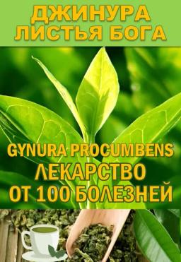 Фиточай Джинура Прокумбенс. Гинура. Сушёный лист.