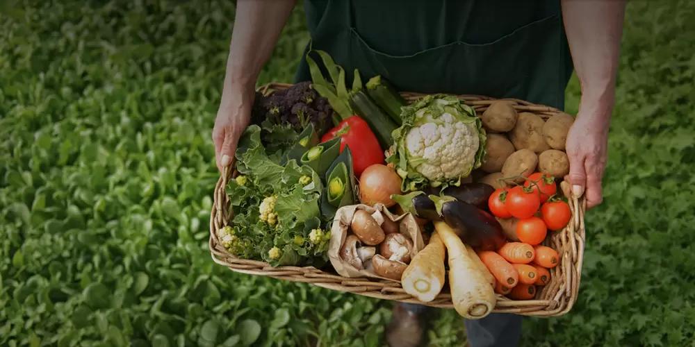 Россия нарастит производство органической продукции почти в 13 раз