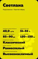 Светлана гибрид подсолнечника