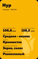 Нур гибрид кукурузы