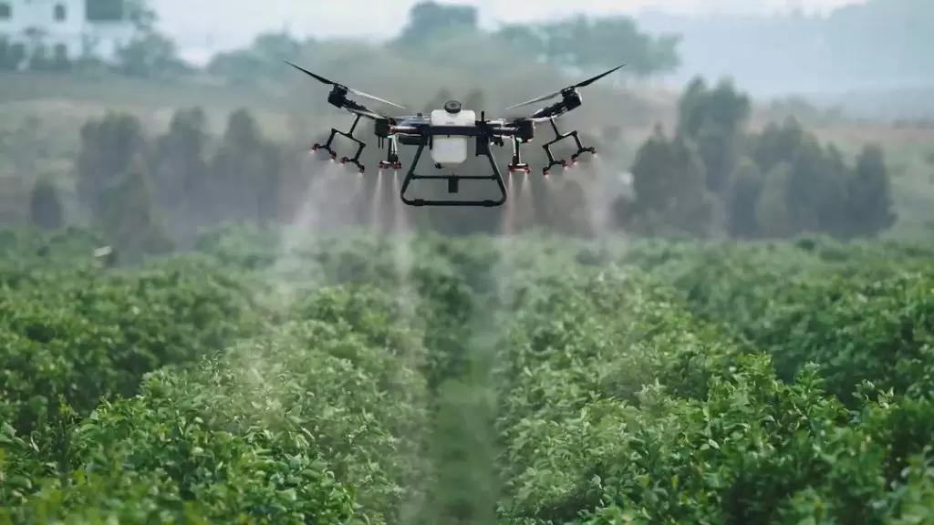 Эксперты прогнозируют рост рынка сельскохозяйственных дронов в 20 раз к 2032 г.