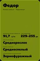 Фёдор сорт озимого ячменя