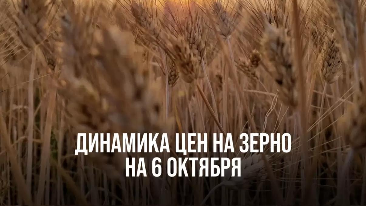 ДИНАМИКА ЦЕН НА ЗЕРНО НА 6 ОКТЯБРЯ