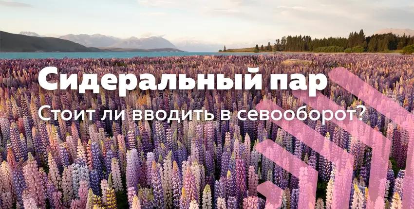 Сидеральный пар. Преимущества и недостатки.