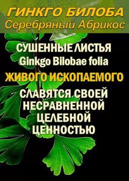 Функциональны чай. Листья Гинкго двулопастного Ginkgo Bilobae folia