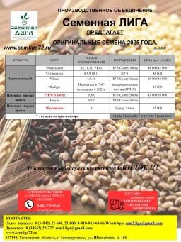 Производство и оптовая продажа семян сельскохозяйственных культур.