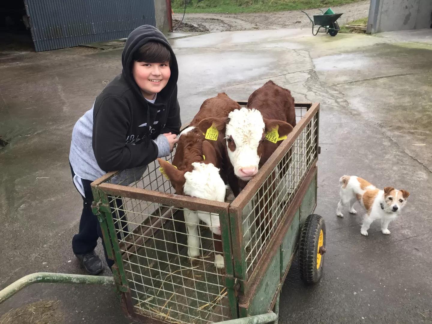 Поговорим о молодняке… (часть 2)