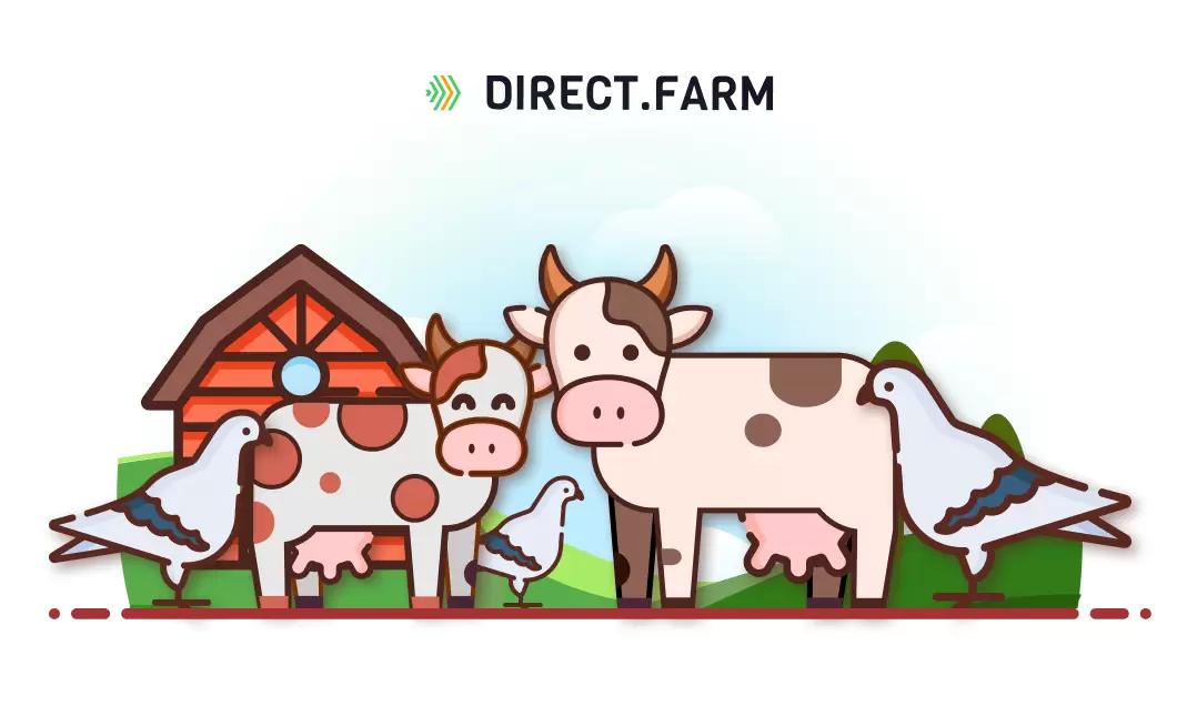 Как бороться с голубями на ферме?