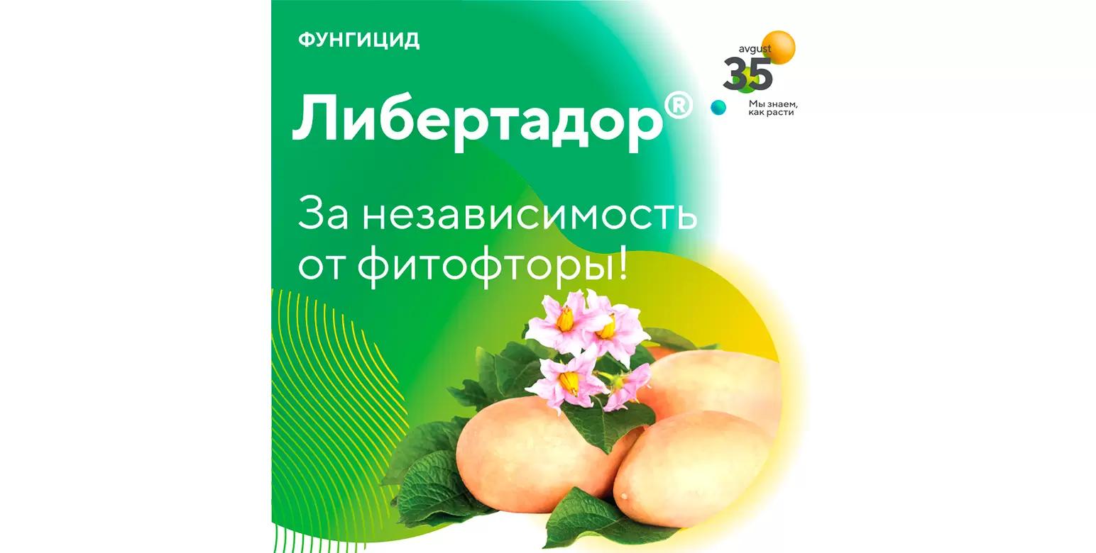 Либертадор® – фунгицид для защиты от фитофтороза