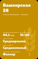 Башкирская 28